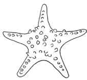 Иллюстрация к книге — Расстаться и... влюбиться вновь [i_125.jpg]