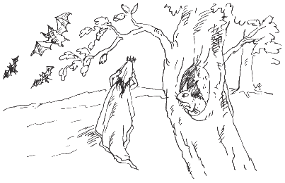 Иллюстрация к книге — Все приключения Белоснежки [i_015.png]