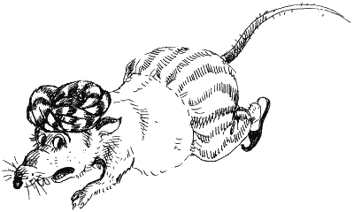 Иллюстрация к книге — Ученик волшебника [i_026.png]