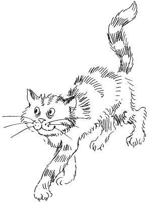 Иллюстрация к книге — Ученик волшебника [i_028.png]