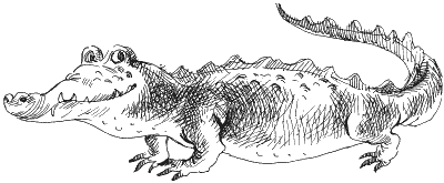 Иллюстрация к книге — Ученик волшебника [i_037.png]