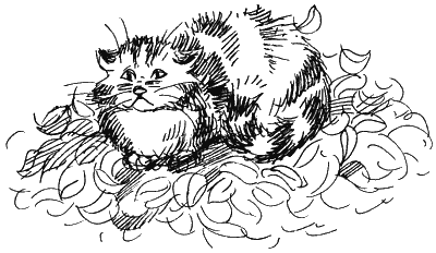 Иллюстрация к книге — Ученик волшебника [i_051.png]