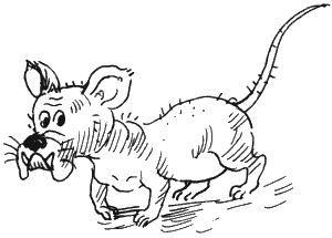 Иллюстрация к книге — Ученик волшебника [i_053.png]