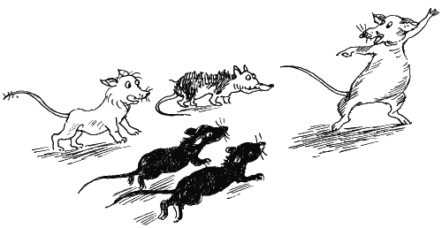 Иллюстрация к книге — Ученик волшебника [i_066.png]