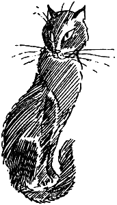 Иллюстрация к книге — Остров капитанов [i_019.png]