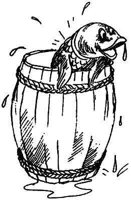 Иллюстрация к книге — Остров капитанов [i_024.png]