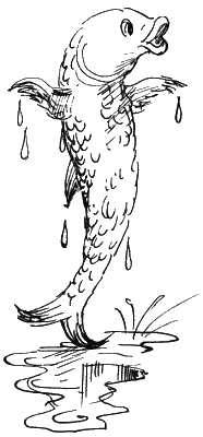 Иллюстрация к книге — Остров капитанов [i_034.png]