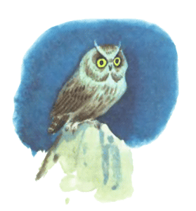 Иллюстрация к книге — Маленькая принцесса [i_013.png]