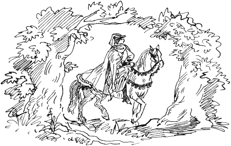 Иллюстрация к книге — Тайна Хрустального замка [i_007.png]