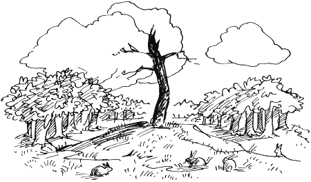 Иллюстрация к книге — Тайна Хрустального замка [i_038.png]