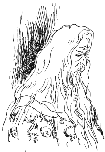 Иллюстрация к книге — Астрель и Хранитель Леса [i_035.png]