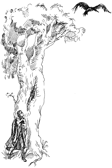 Иллюстрация к книге — Астрель и Хранитель Леса [i_061.png]