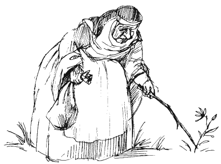 Иллюстрация к книге — Астрель и Хранитель Леса [i_065.png]