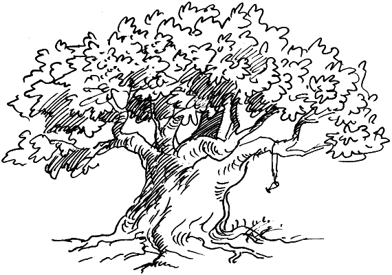 Иллюстрация к книге — Босая принцесса [i_002.png]