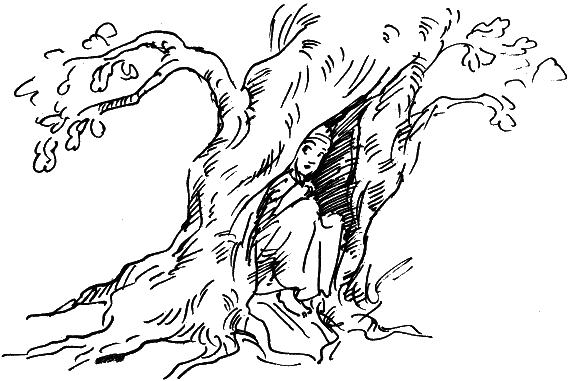 Иллюстрация к книге — Босая принцесса [i_016.png]