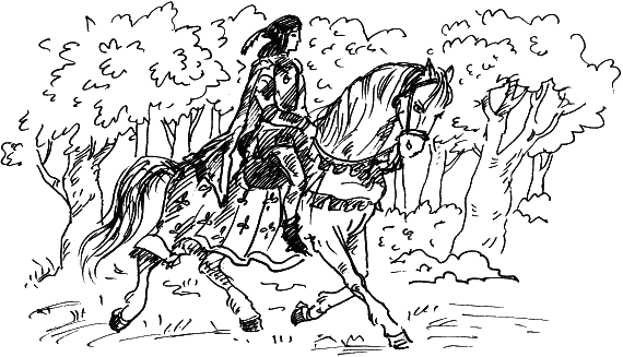 Иллюстрация к книге — Босая принцесса [i_021.png]