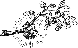 Иллюстрация к книге — Босая принцесса [i_044.png]