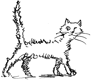 Иллюстрация к книге — Замок Черной Королевы [i_017.png]