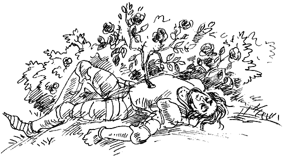 Иллюстрация к книге — Королевство Семи озер [i_015.png]