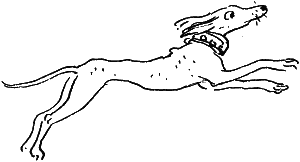 Иллюстрация к книге — Королевство Семи озер [i_025.png]