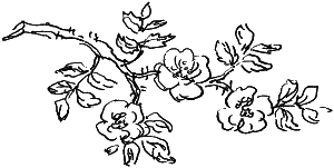 Иллюстрация к книге — Королевство Семи озер [i_035.png]