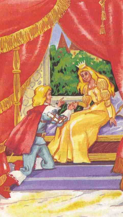 Иллюстрация к книге — Кот в сапогах ищет клад [i_002.jpg]