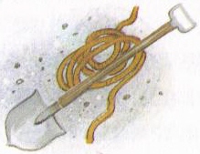 Иллюстрация к книге — Кот в сапогах ищет клад [i_013.jpg]