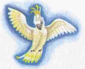 Иллюстрация к книге — Кот в сапогах ищет клад [i_029.jpg]