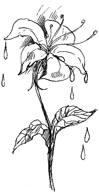 Иллюстрация к книге — Пока бьют часы [i_011.png]