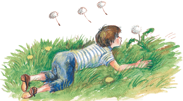 Иллюстрация к книге — Приключения желтого чемоданчика. Новые приключения желтого чемоданчика [i_022.png]