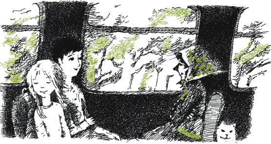 Иллюстрация к книге — Тайна железного дерева [i_002.png]