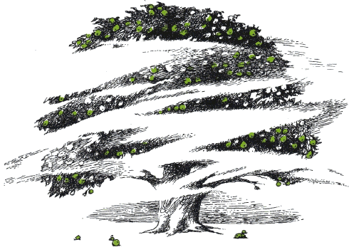 Иллюстрация к книге — Тайна железного дерева [i_008.png]