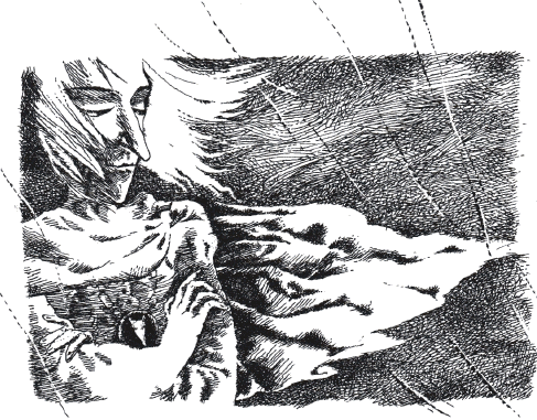 Иллюстрация к книге — Тайна железного дерева [i_013.png]