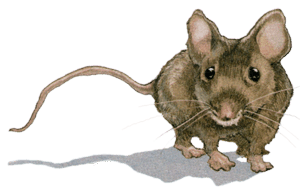 Иллюстрация к книге — Каменное сердце [i_064.png]