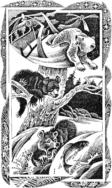 Иллюстрация к книге — Первые испытания [image01.png]