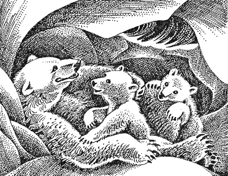 Иллюстрация к книге — Первые испытания [image02.png]