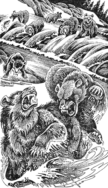 Иллюстрация к книге — Первые испытания [image05.png]