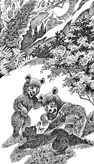 Иллюстрация к книге — Первые испытания [image13.png]