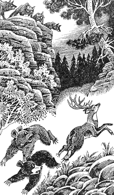 Иллюстрация к книге — Медвежье озеро [image03.png]