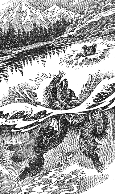 Иллюстрация к книге — Медвежье озеро [image04.png]