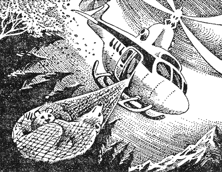 Иллюстрация к книге — Медвежье озеро [image05.png]