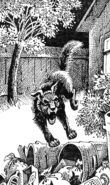 Иллюстрация к книге — Медвежье озеро [image06.png]