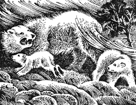 Иллюстрация к книге — Медвежье озеро [image07.png]