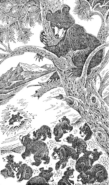 Иллюстрация к книге — Медвежье озеро [image08.png]