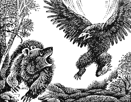 Иллюстрация к книге — Медвежье озеро [image14.png]