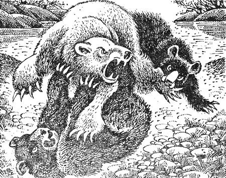 Иллюстрация к книге — Медвежье озеро [image15.png]