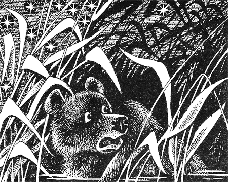 Иллюстрация к книге — Дымная гора [img15.png]