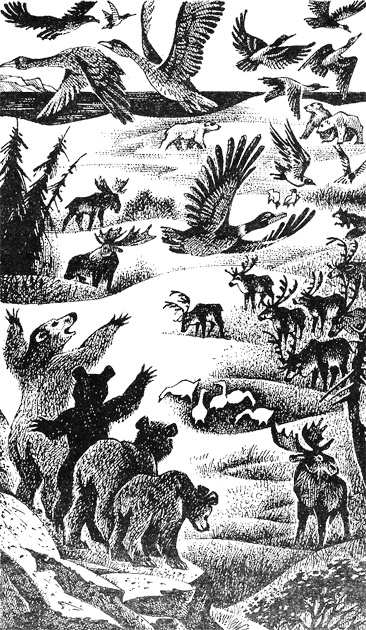 Иллюстрация к книге — Дымная гора [img17.png]