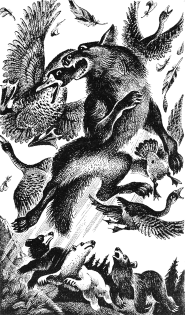 Иллюстрация к книге — Последняя глушь [img02.png]