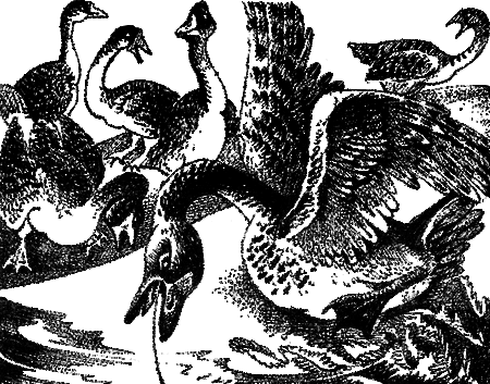 Иллюстрация к книге — Последняя глушь [img05.png]